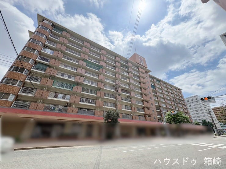 【外観】