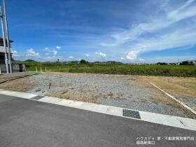 概観画像