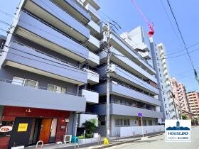 概観画像