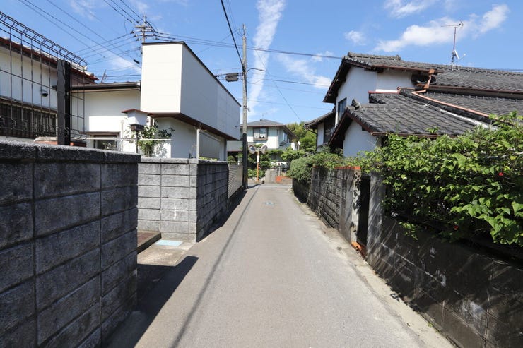 2026年6月29日撮影