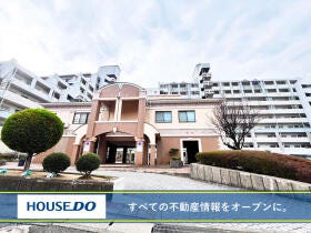概観画像