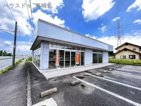 概観画像