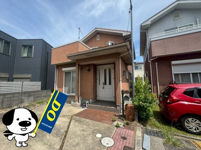 2026年7月撮影