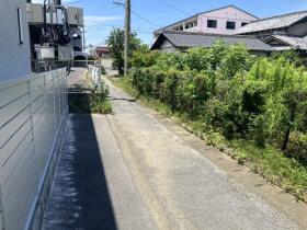 概観画像