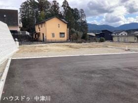 概観画像