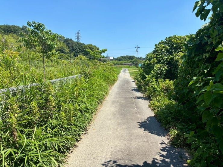 *前面道路*