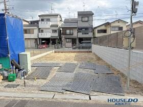 概観画像