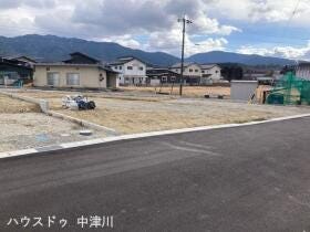概観画像