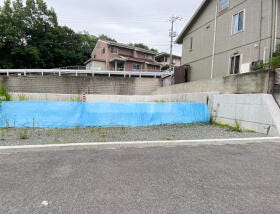 概観画像