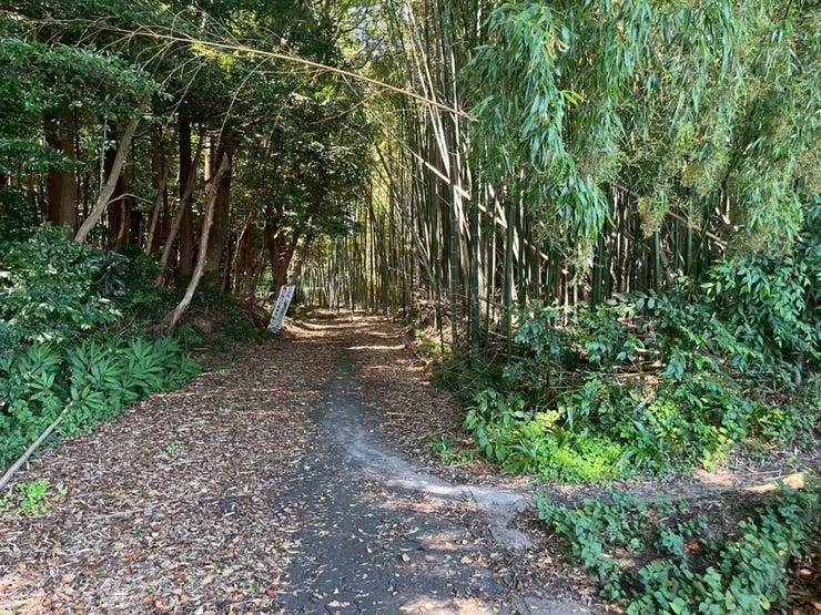 *前面道路*