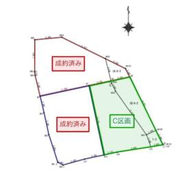概観画像