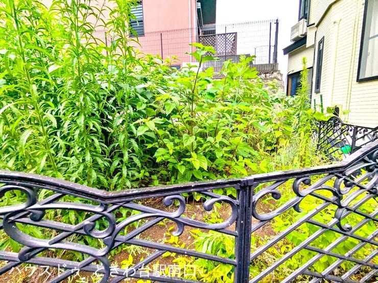 前面道路は交通量が落ち着いており、穏やかな住環境。周辺には公園も点在し、子育て世帯にもおすすめの閑静なエリアです。