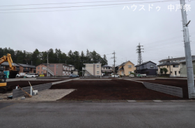 概観画像