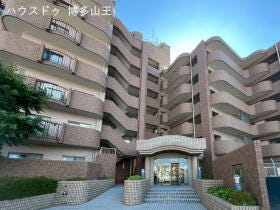 概観画像