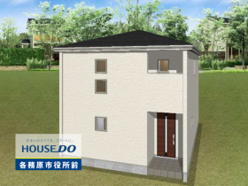 概観画像