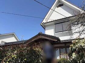 概観画像