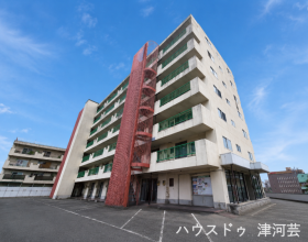 概観画像