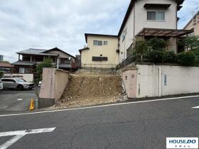 概観画像