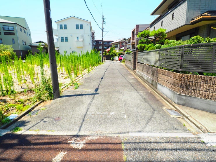 北道路
現地写真(2026.7.9)