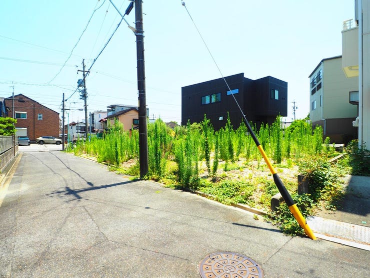 北道路
現地写真(2026.7.9)