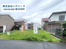 概観画像