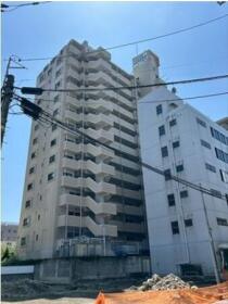 概観画像