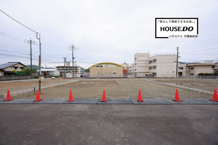 【41号地】