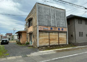 概観画像