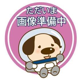 概観画像
