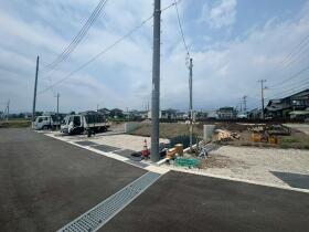 概観画像
