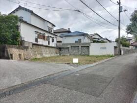 概観画像