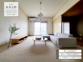 概観画像