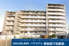 概観画像