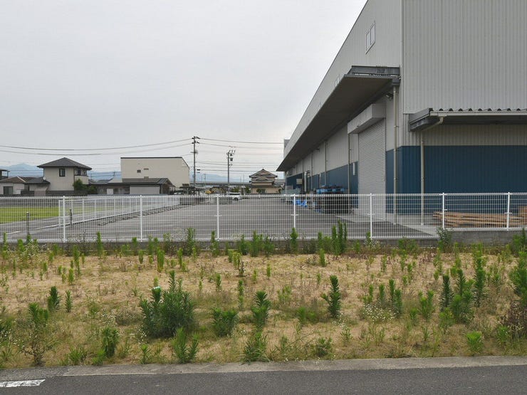 建設地を西側より撮影 2026.06.14