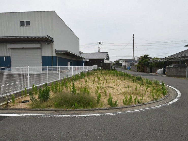 建設地を北側より撮影 2026.06.14