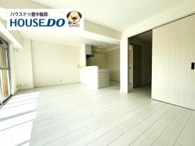 概観画像