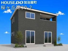 概観画像