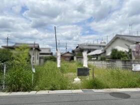 概観画像