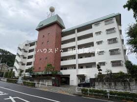 概観画像