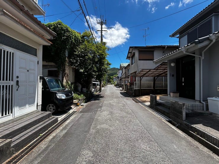2026年7月撮影