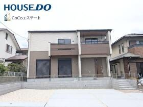 概観画像