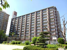 概観画像