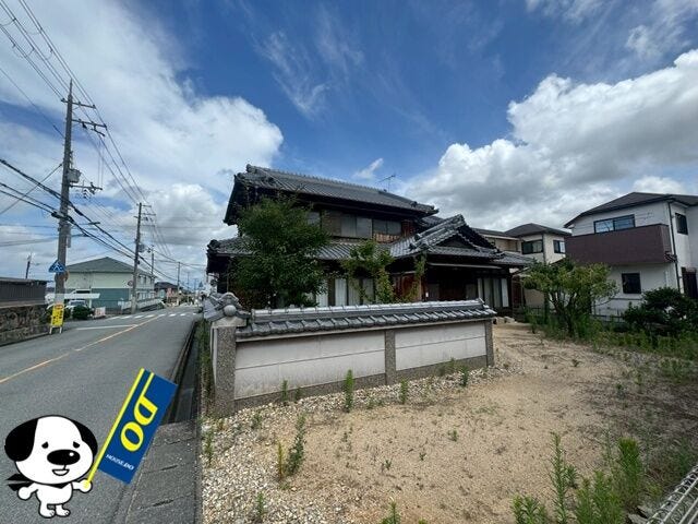 2026年7月撮影
