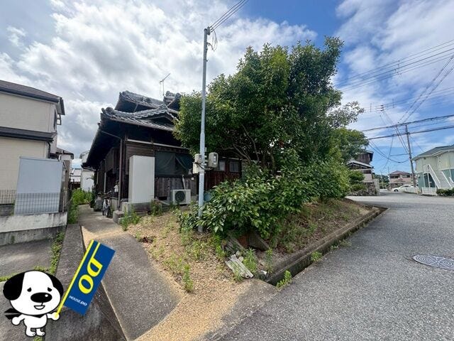 2026年7月撮影