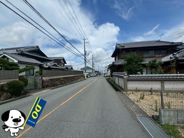 2026年7月撮影