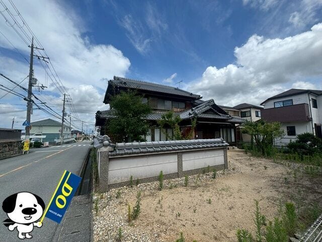 2026年7月撮影