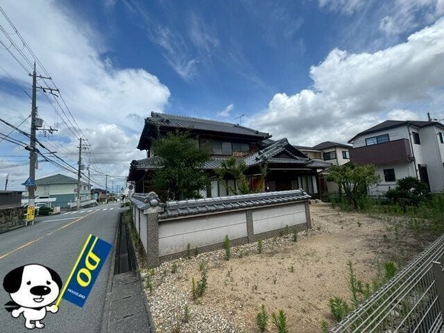 2026年7月撮影