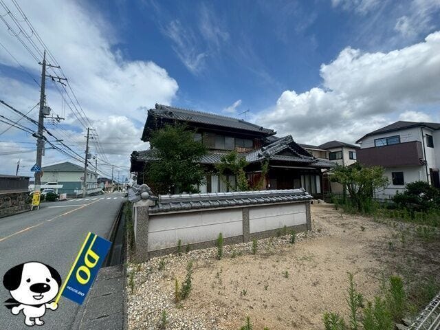 2026年7月撮影