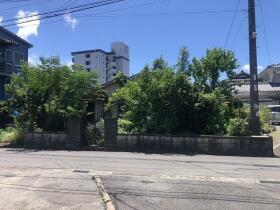 概観画像