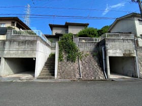 概観画像